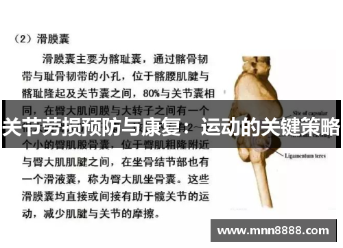 关节劳损预防与康复：运动的关键策略
