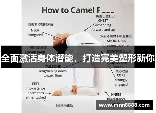 全面激活身体潜能，打造完美塑形新你