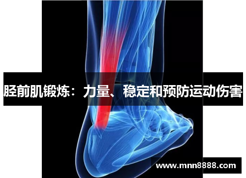 胫前肌锻炼：力量、稳定和预防运动伤害