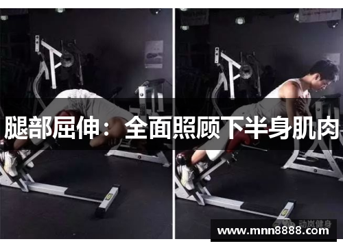 腿部屈伸：全面照顾下半身肌肉